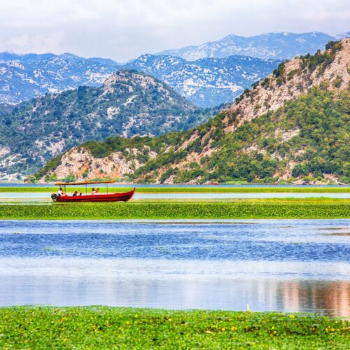 skadarsko-jezero-1